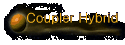 Coupler Hybrid