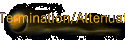Termination/Attenuators